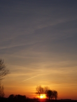 Userbild von BjörnWittmaack
