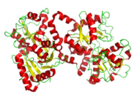 Userbild von muyuya1985