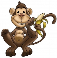 Userbild von Bananenflitzer
