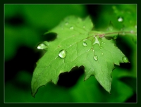 Userbild von Butterblume_0707