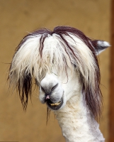 Userbild von BarbaraH