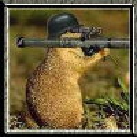 Userbild von chaos77