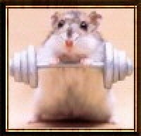 Userbild von schnubbelschnecke