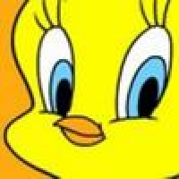 Userbild von NewStaff1502