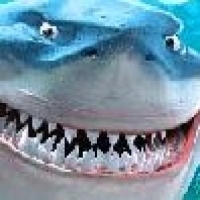 Userbild von meisterM