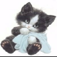 Userbild von Morgenstern