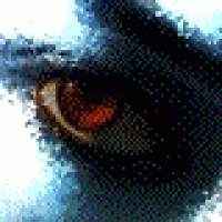 Userbild von bruno