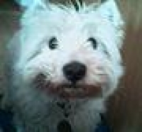 Userbild von Neddy