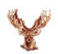 Userbild von Zum_goldenen_Hirsch