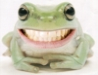 Userbild von Dummbrot
