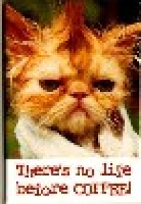 Userbild von Kiva