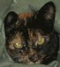 Userbild von ws_04_willi