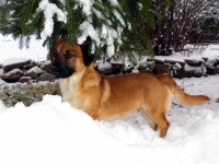 Userbild von Steffi1004