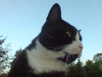 Userbild von spike161204