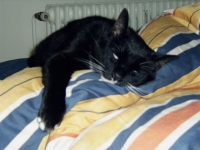 Userbild von Deidre