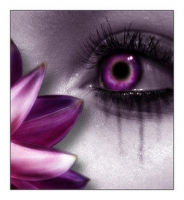 Userbild von lieblingsrine
