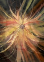 Userbild von Zestefanzie