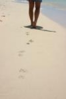 Userbild von helene_le