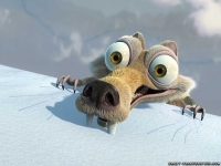 Userbild von heidi222