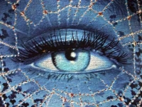 Userbild von renat