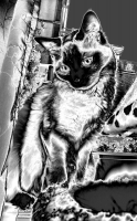 Userbild von Marie2701
