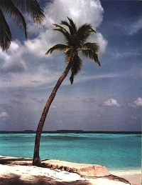 Userbild von dpalsa