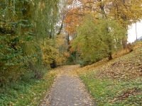 Userbild von evephoenix