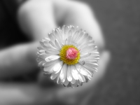 Userbild von Dornröschen228