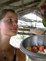 Userbild von fanno88
