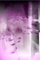 Userbild von monocandy