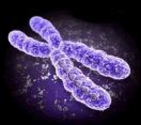 Userbild von Eternity0486