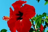 Userbild von kleeblum