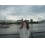 Userbild von Lionheart