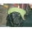 Userbild von LisaM.
