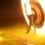 Userbild von S-nuT..