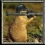 Userbild von chaos77