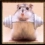 Userbild von schnubbelschnecke