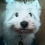 Userbild von Neddy