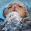 Userbild von Pat