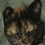 Userbild von ws_04_willi
