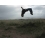 Userbild von Maximo