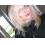 Userbild von Tina89