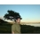Userbild von amlord