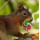 Userbild von Schnegge