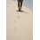 Userbild von helene_le