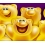 Userbild von Bloedi
