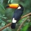 Userbild von Merija
