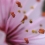 Userbild von CocoonShape