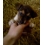 Userbild von lovebites