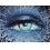 Userbild von renat
